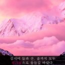 핑크프레임 이미지
