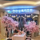 [아이와 천안여행] 천안상록리조트 상록랜드 놀이동산 내돈내산 후기