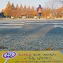 대구대학교 정문 이미지