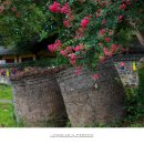 예쁘다 경주 이미지