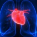 디럭스짐 이미지