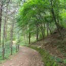 [화천] 절산!!