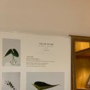 엠마에스테틱
