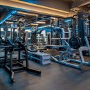 더 세이짐 이미지