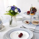 블루카사 이미지