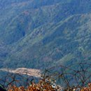 초성김치마을 이미지