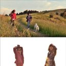 지은민박 이미지