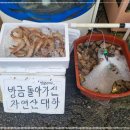 온누리수산 이미지