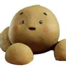 강아지 똥 이미지