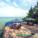 새천년공원길 이미지