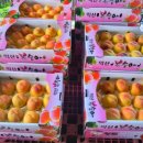 삼현농장 이미지