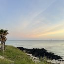 수수별장 | 제주 함덕 오션뷰 펜션 &#39;수수별장&#39; 4인 가족 이용 후기