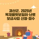 펠릿