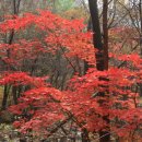 갈현3리 이미지