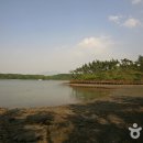 황금빛노을바다 낚시터 이미지