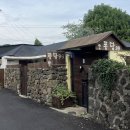 퐁당99 | 제주도 서귀포 애견동반 숙소 추천(에어비앤비) 퐁당 99