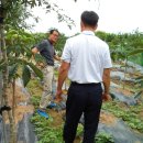 배식농장 이미지