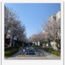 개성부동산공인중개사사무소 이미지