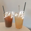 가양역 직접 로스팅 한 원두로 커피 내리는 고양이똥3 다녀온 후기