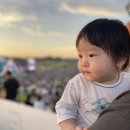 291 | +291일(후기이유식22일차)_20250907