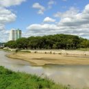 성주 경산리 성밖숲 이미지