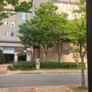 화서역동문프라임공인중개사사무소 이미지