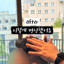 페르소나 바버샵 이미지