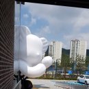 동춘175NII