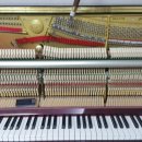 삼익농원 이미지