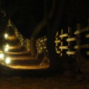 문탠로드 이미지