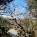 한마음청소년수련원 이미지