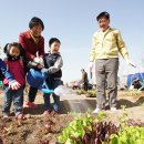 중랑천 제5체육공원 이미지