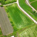 진잠나들목공인중개사사무소 이미지