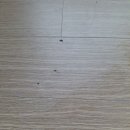 전마루 이미지
