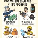 DDR | 내 몸의 방어력을 깨우는 오일, DDR 프라임을 알게 된 날 - 그리고 제가 이걸 먹게 된 이유