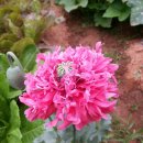 원당농장 이미지