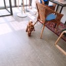 도담도담이발소 이미지