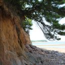 독도펜션 이미지