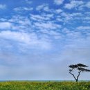 늘 좋은생각 이미지