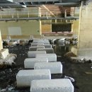 우면산3-22 이미지