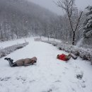 태백소원지 오토캠핑장 이미지