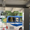 동부그린공원 | Bangkok _ day2(리빙 그린 엘리펀트 생츄어리 촌부리 코끼리 보호소, 조드페어야시장, 카오산로드)