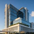 고도일병원 | 고도일병원 허리디스크 및 무릎 비수술 치료 정보와 주차 팁