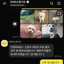스토어3355