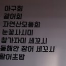 에이치구르메 | [문정동맛집 추천] 문정동초밥맛집 구르메 천억집!