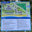 오토오아시스 마산월드점 | 강원도 바다 캠핑장 추천 망상오토캠핑리조트 자동차 캠핑장 37번 사이트