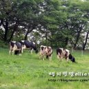 흥원목장 이미지