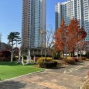 혁신아파트 내 이미지