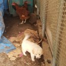 석지농장 이미지