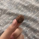 품으